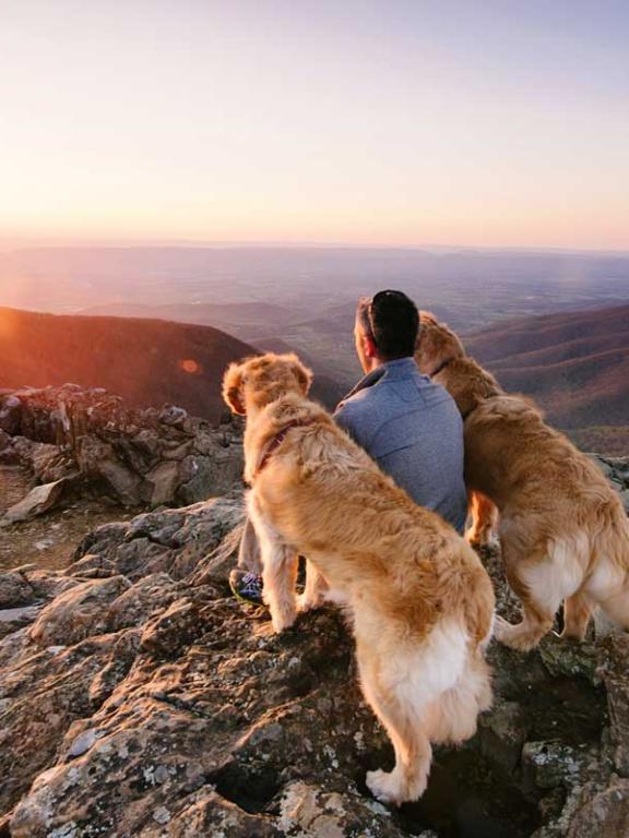 Hawksbill Mountain, Shenandoah National Park, Virginia, mountains, sunset, hiker, dogs