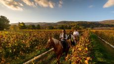 A couple rides horseback through a vineyard in autumn