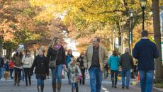 Waterfowl Festival, Easton, MD