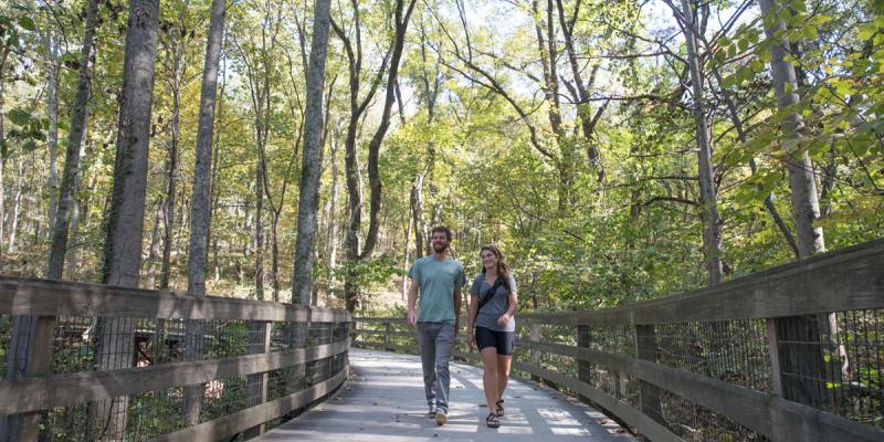 Two people walking on a wooden boardwalk in a hardwood forest at Monticello, Virginia, USA