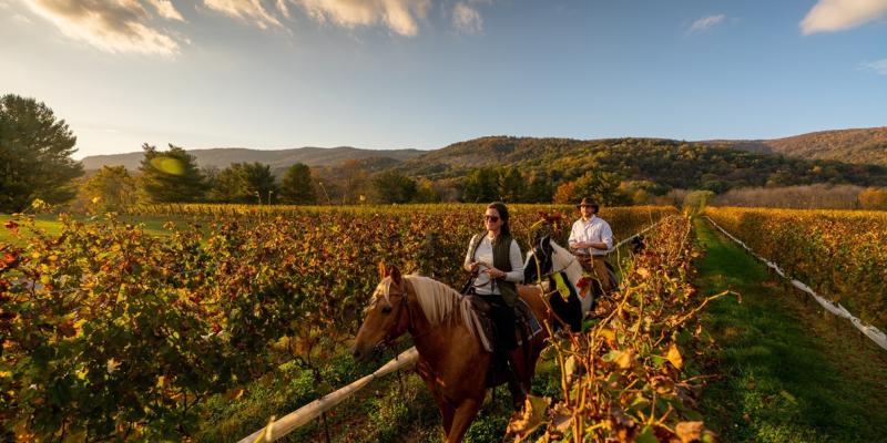 A couple rides horseback through a vineyard in autumn