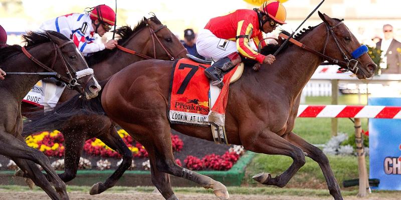 Preakness Stakes, horse racing, Baltimore, Maryland, Triple Crown