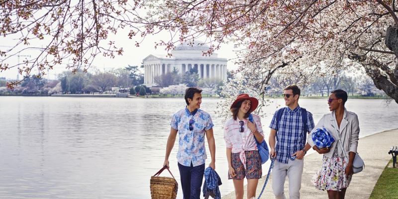 Cherry Blossoms, Washington DC, festival, Jefferson Memorial