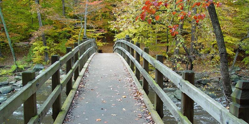 A trail bridge cuts through fall foliage in Rock Creek Park in Washington, DC, USA