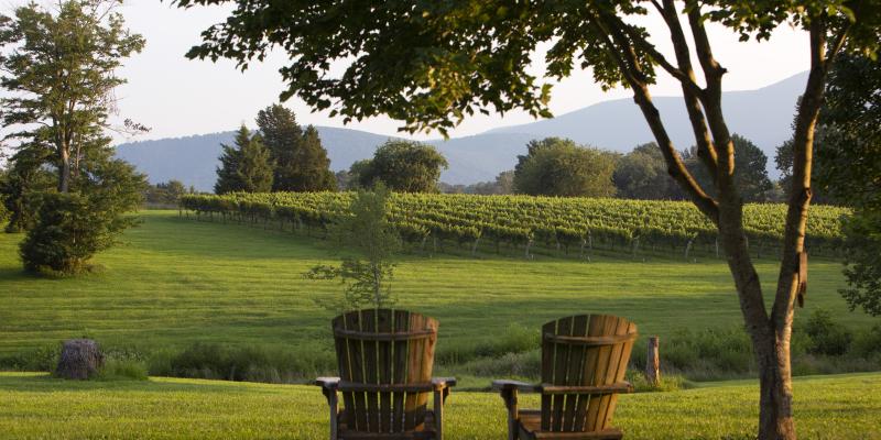 Veritas Vineyard &amp; Winery, Afton, Virginia