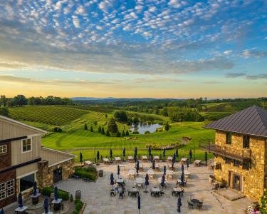 Aerial view of the winery